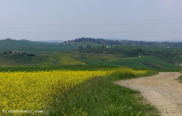 Ombrone Valley Forge of Poggetti, Casella, La Costa