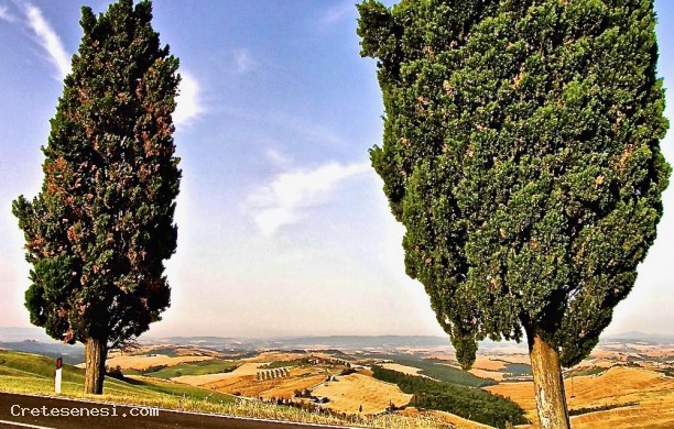 Da San Martino a Mezzavia