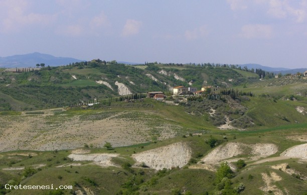 Strada provinciale tra Asciano e Rapolano Terme
