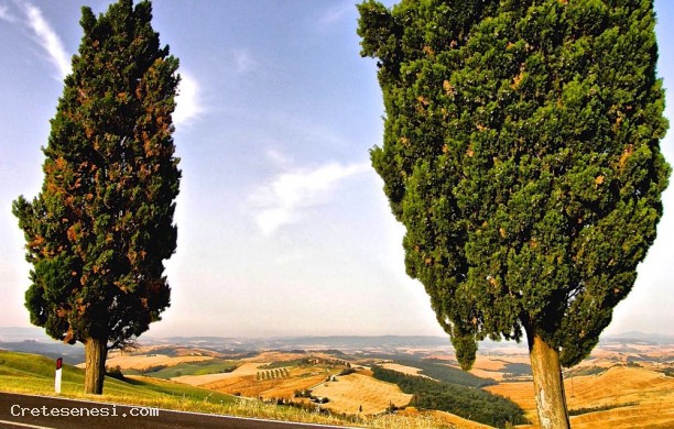 Terrazza sulla Valdarbia