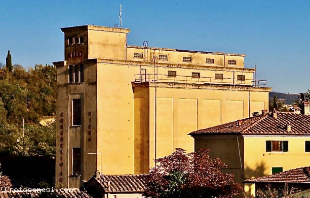 Consorzio Agrario