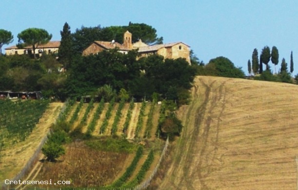 Strada bianca di Pieve a Salti da San Giovanni a Buonconvento