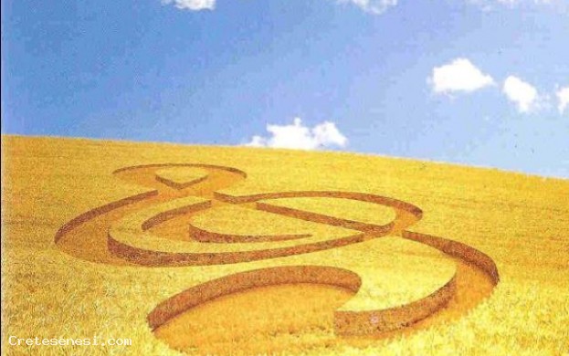 Festival delle Crete Senesi