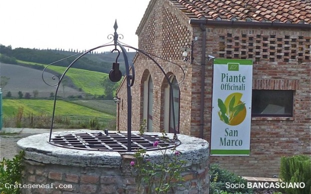 Piante Officinali San Marco